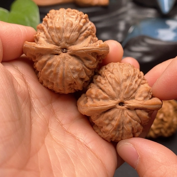 文玩核桃把件莲花40尺