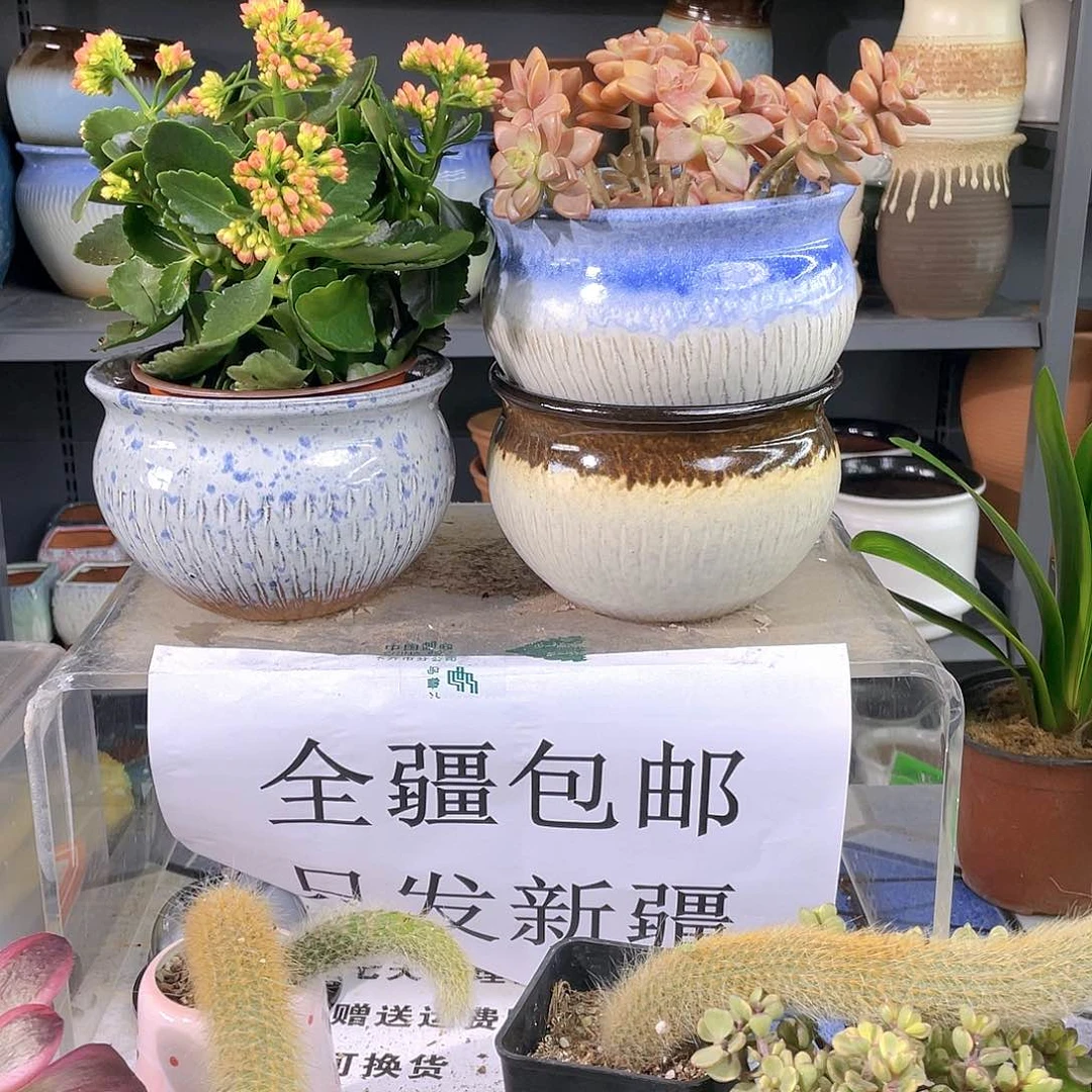 粗陶中号花盆三个装