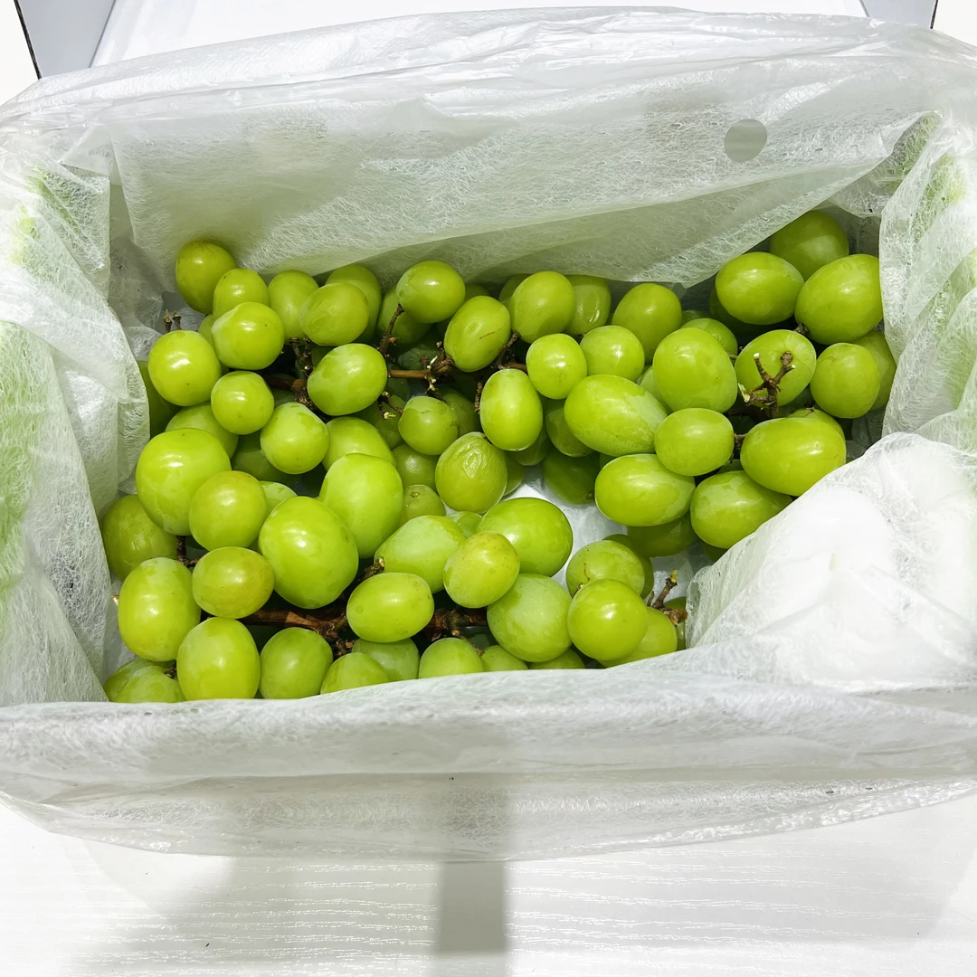 【磊哥心选】野香印葡萄一箱 带箱2.4斤左右云南省