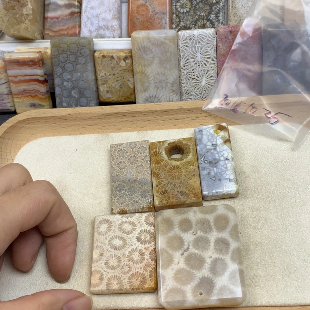 无***像硅化珊瑚（珊瑚玉）未镶嵌珠宝奇石