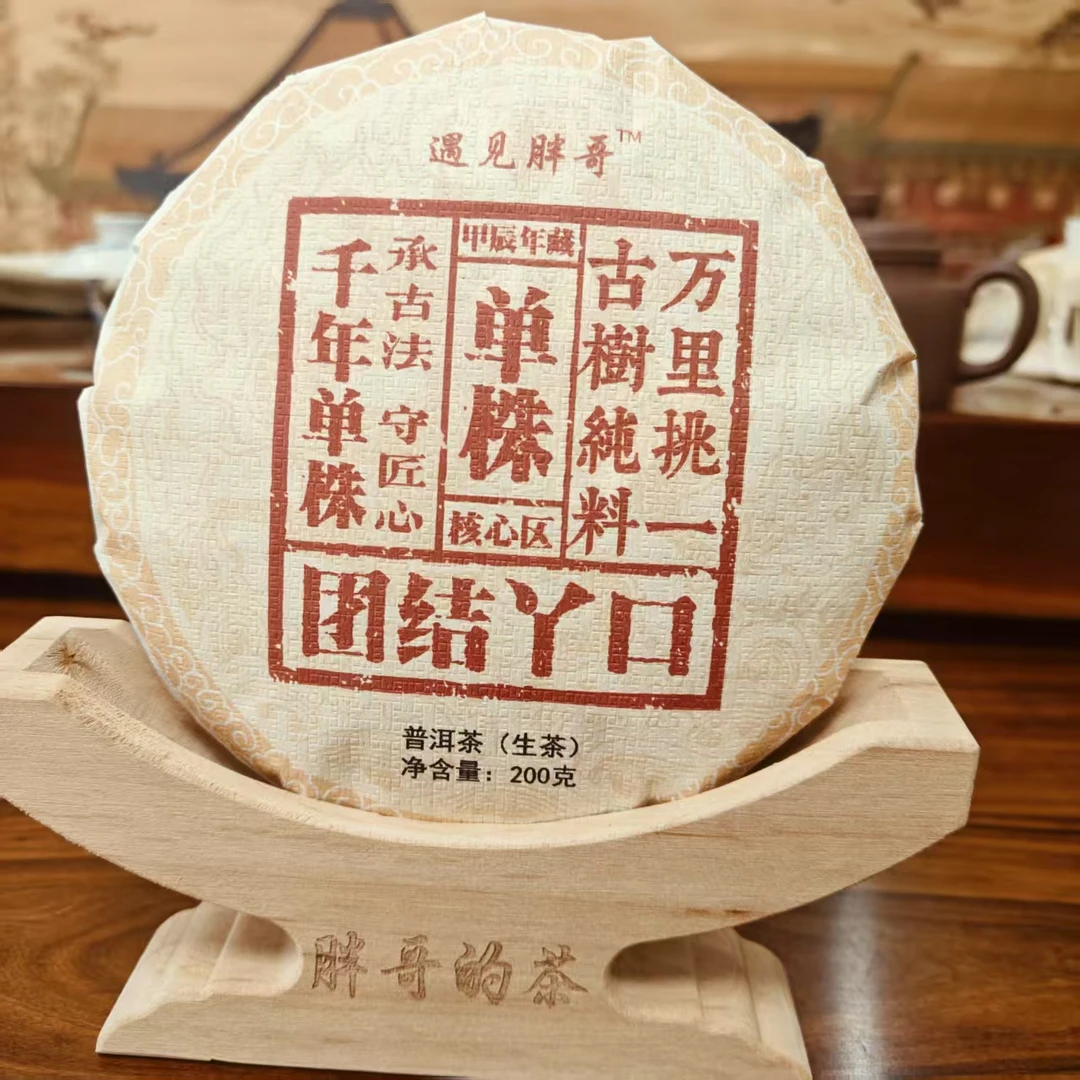 2024年团结丫口 单株 普洱生茶200克饼