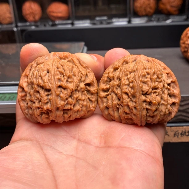 南疆石老桩，46✖️43✖️39.全品六面配对，一物一图