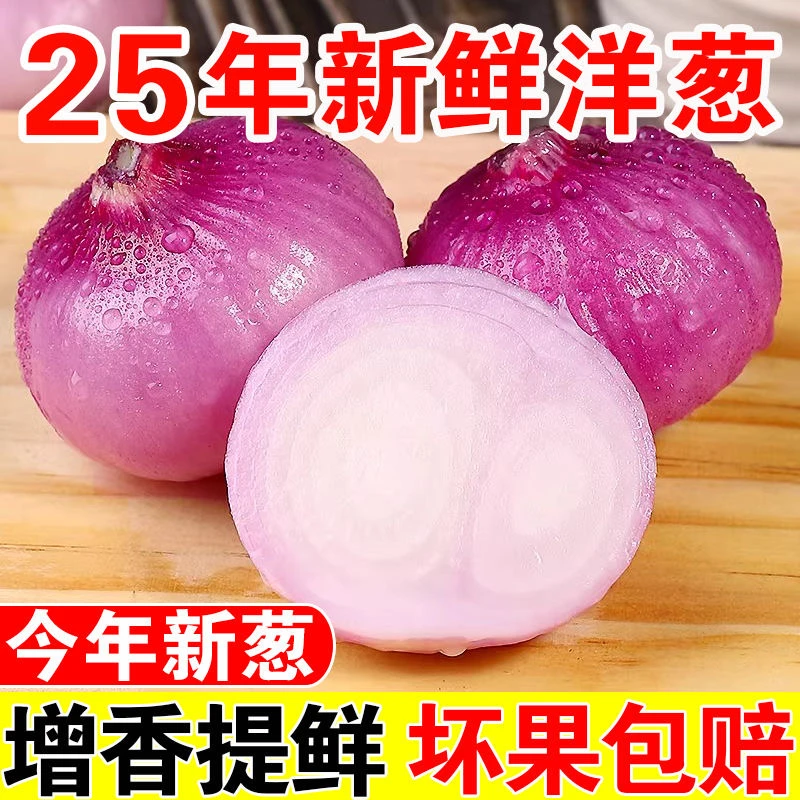 【当天现拔】河南紫皮洋葱红皮生吃水果洋葱新鲜现挖当季蔬菜5斤