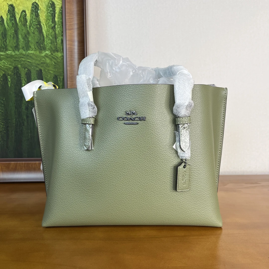 95新 COACH/蔻驰 单肩包/24*12*19/A231
