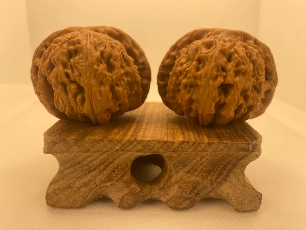 B07白狮子44尺漂亮大底精品文玩核桃