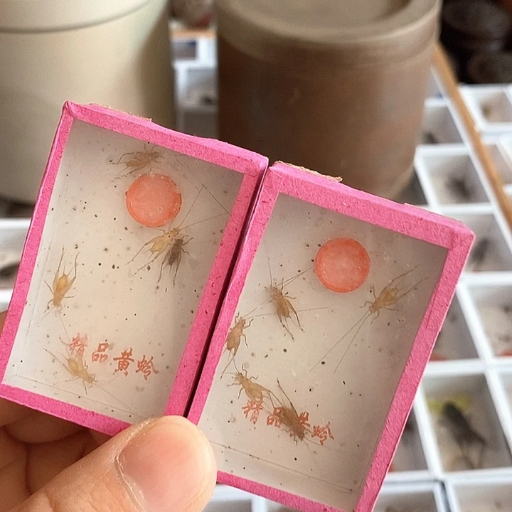 小黄岭两盒啊啊啊