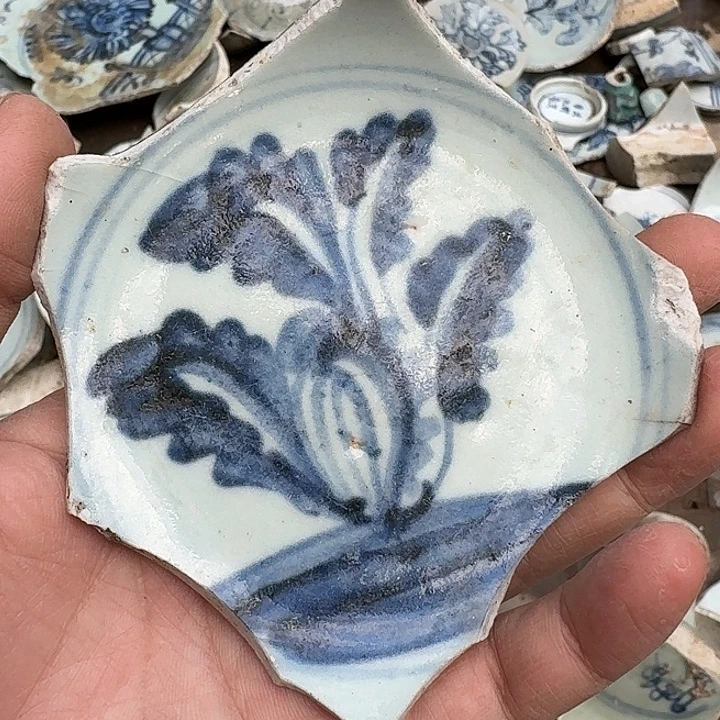 瓷片瓷片标本，顺丰包邮