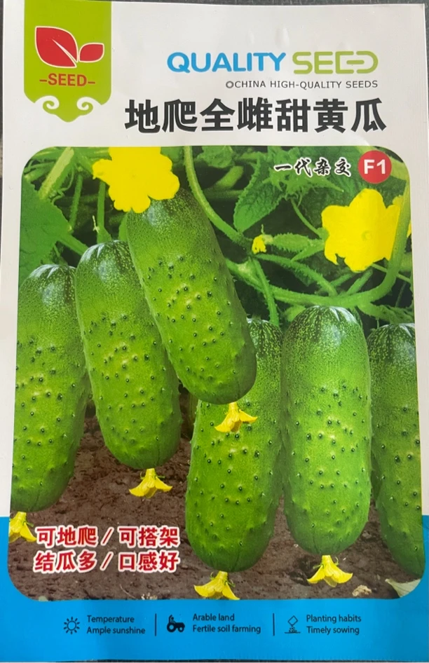 地爬龙不搭架黄瓜种子