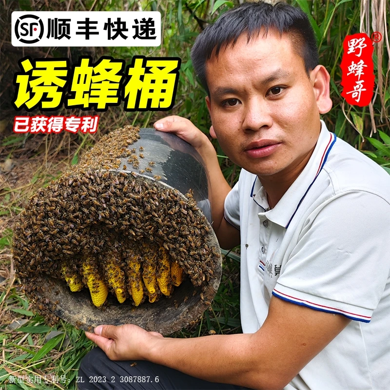 野蜂哥诱蜂桶 刷蜡户外招引诱捕捉收野蜜蜂可选带实木盖子(2只装)