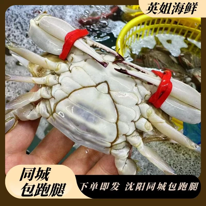 断氧东港三点红2斤起仅限沈阳市内五区拍1只5两左右【保鲜不保活】