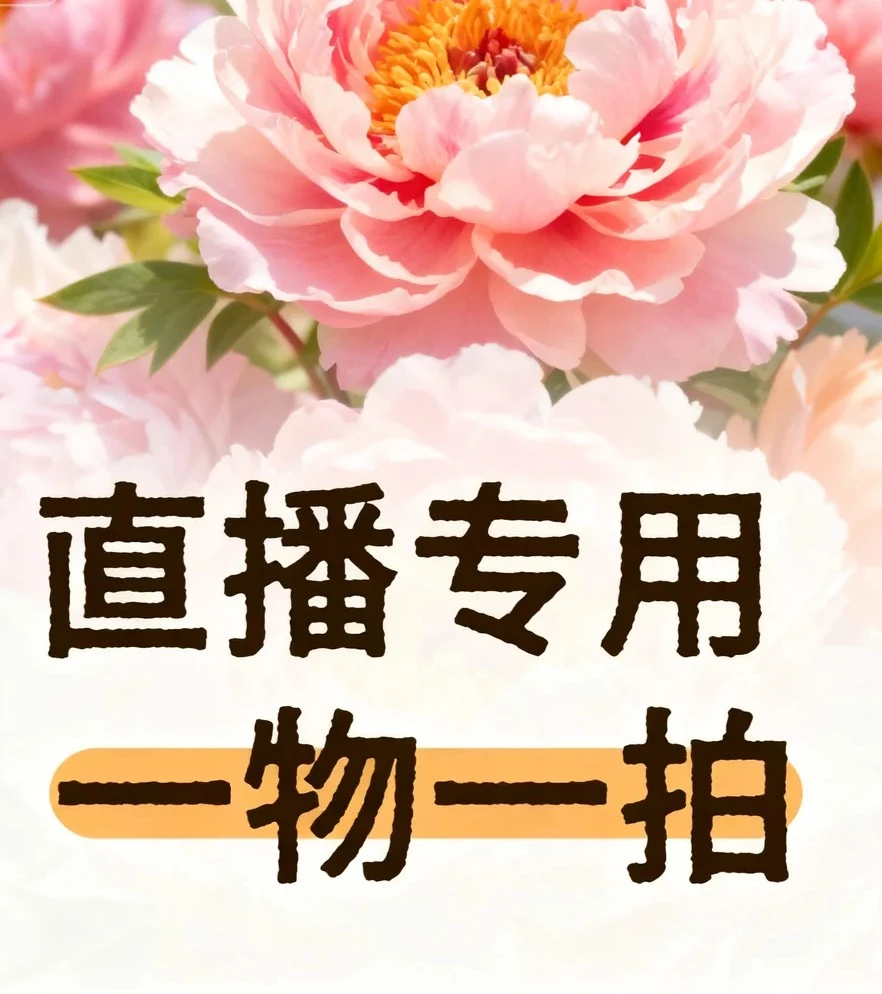【裸根牡丹一物一拍】洛阳牡丹对版易活耐寒盆栽地栽基地直发