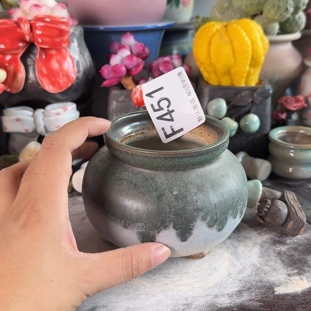 重庆小燕子欢迎大家451