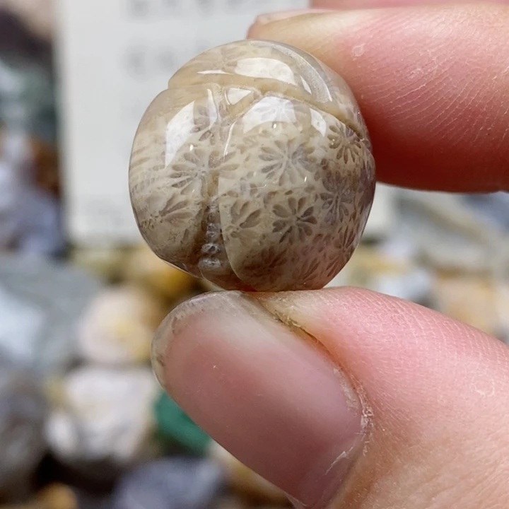 硅化珊瑚（珊瑚玉）未镶嵌颈饰通孔 小