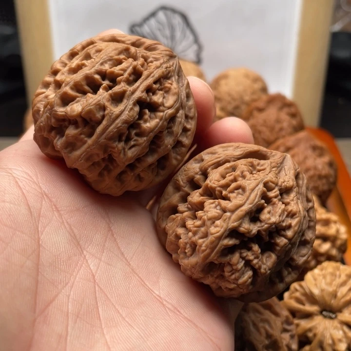 核桃粗筋文玩核桃