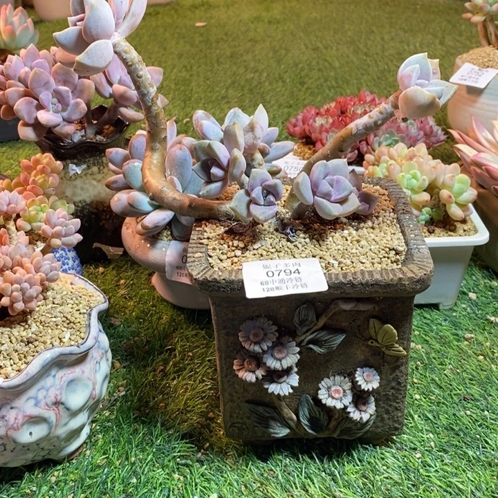 0794啊啊啊啊啊啊啊啊啊啊啊