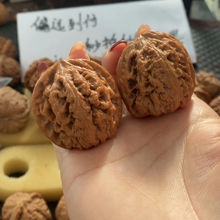 曾*╭41全品粗筋无修无修无修