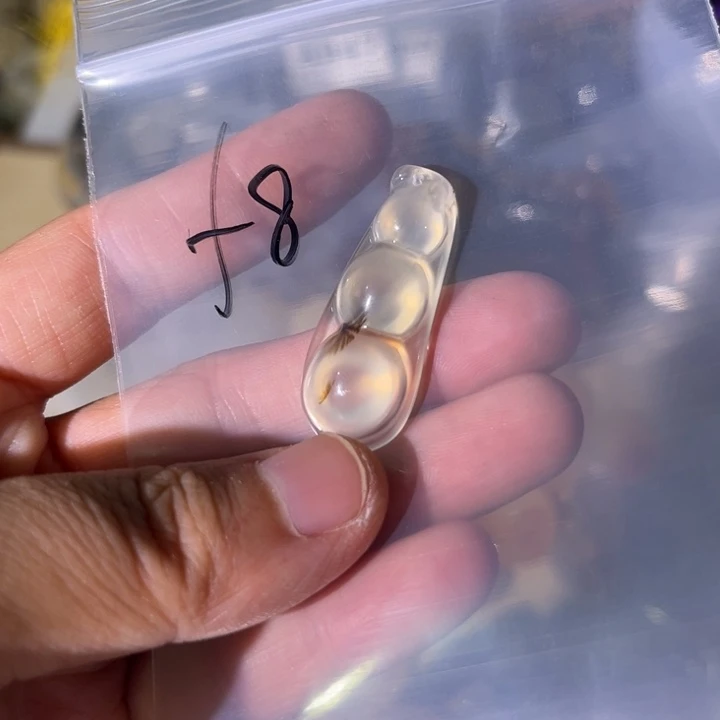 银S925镶嵌颈饰紫晶