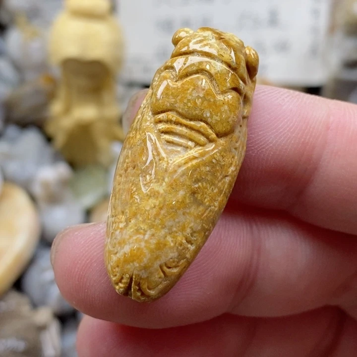 颈饰未镶嵌硅化珊瑚（珊瑚玉）小