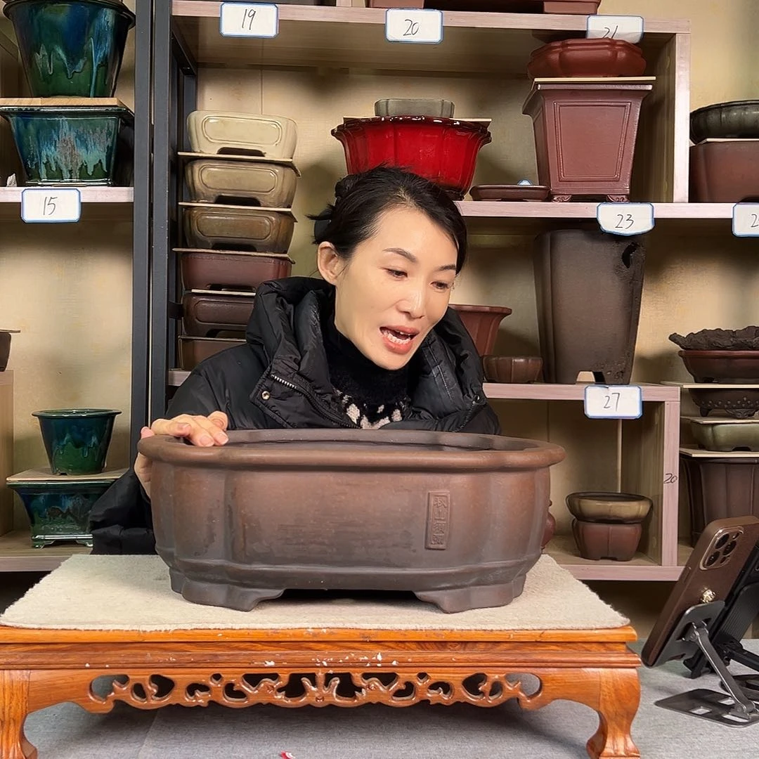 紫砂花盆琪*399258745699