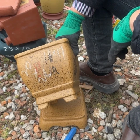 紫砂花盆紫砂花盆盆景盆栽