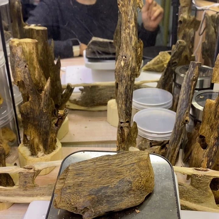 棋楠沉香乌身圆叶53g