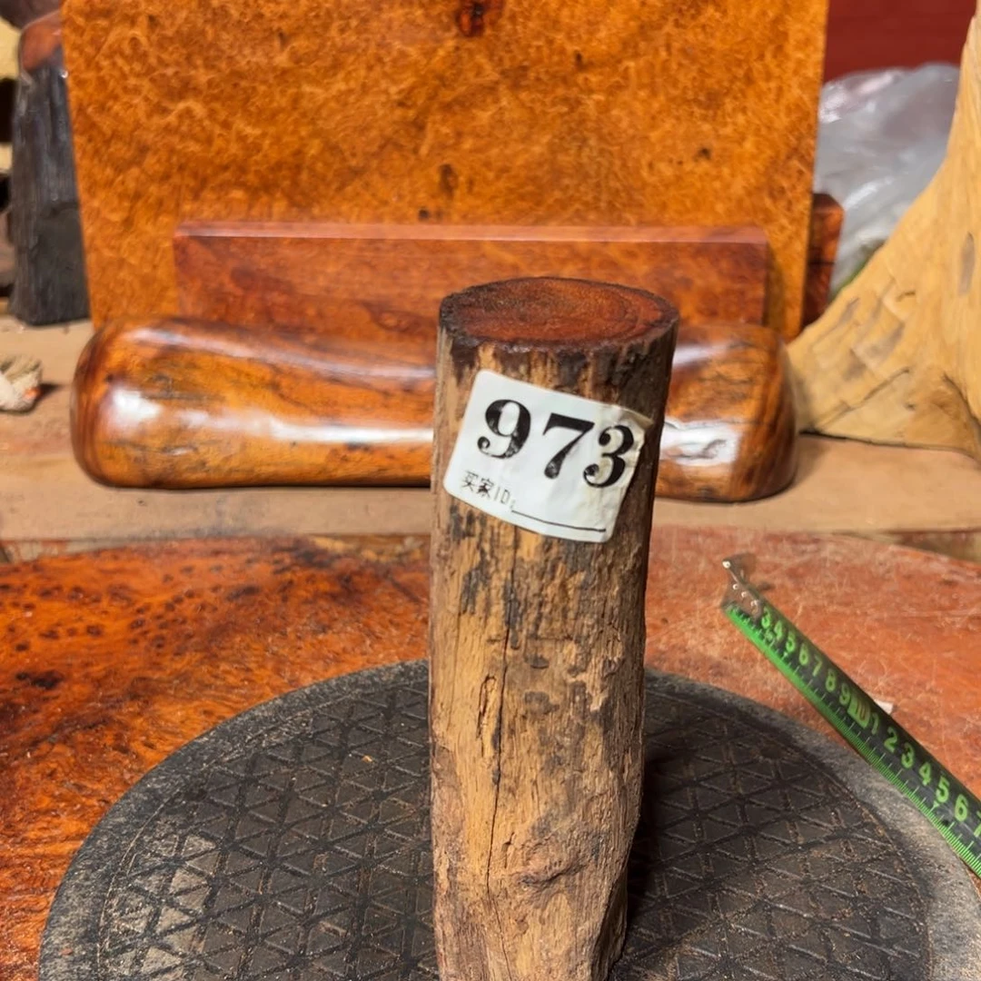 大果紫檀（缅甸花梨）