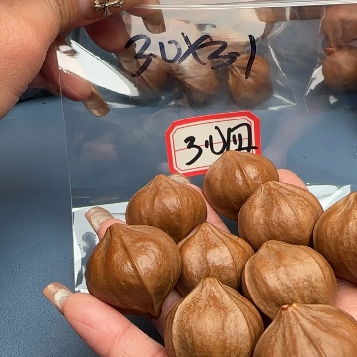 清***雅橄榄核手串橄榄核