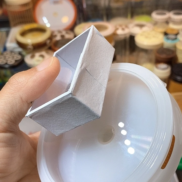 窦**咯霍氏 万体 电报蛉