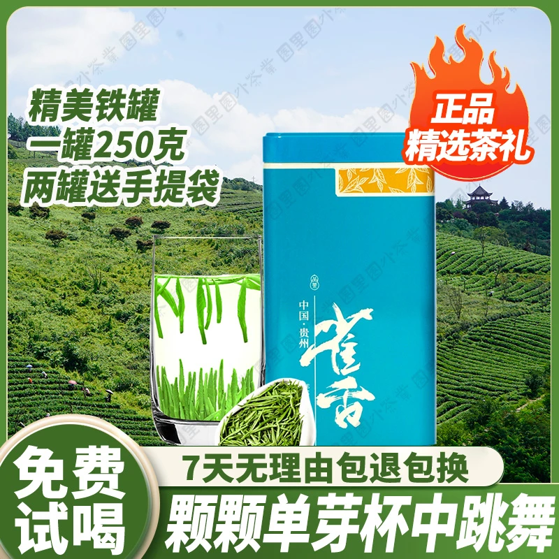 贵州遵义特产茶叶雀舌春茶2025春茶非湄潭翠芽碧螺春毛尖毛峰绿茶