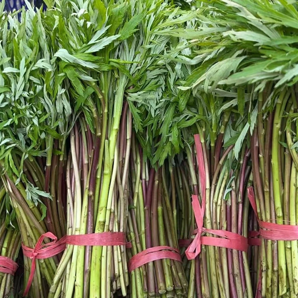 湖北野生藜蒿 农家精选