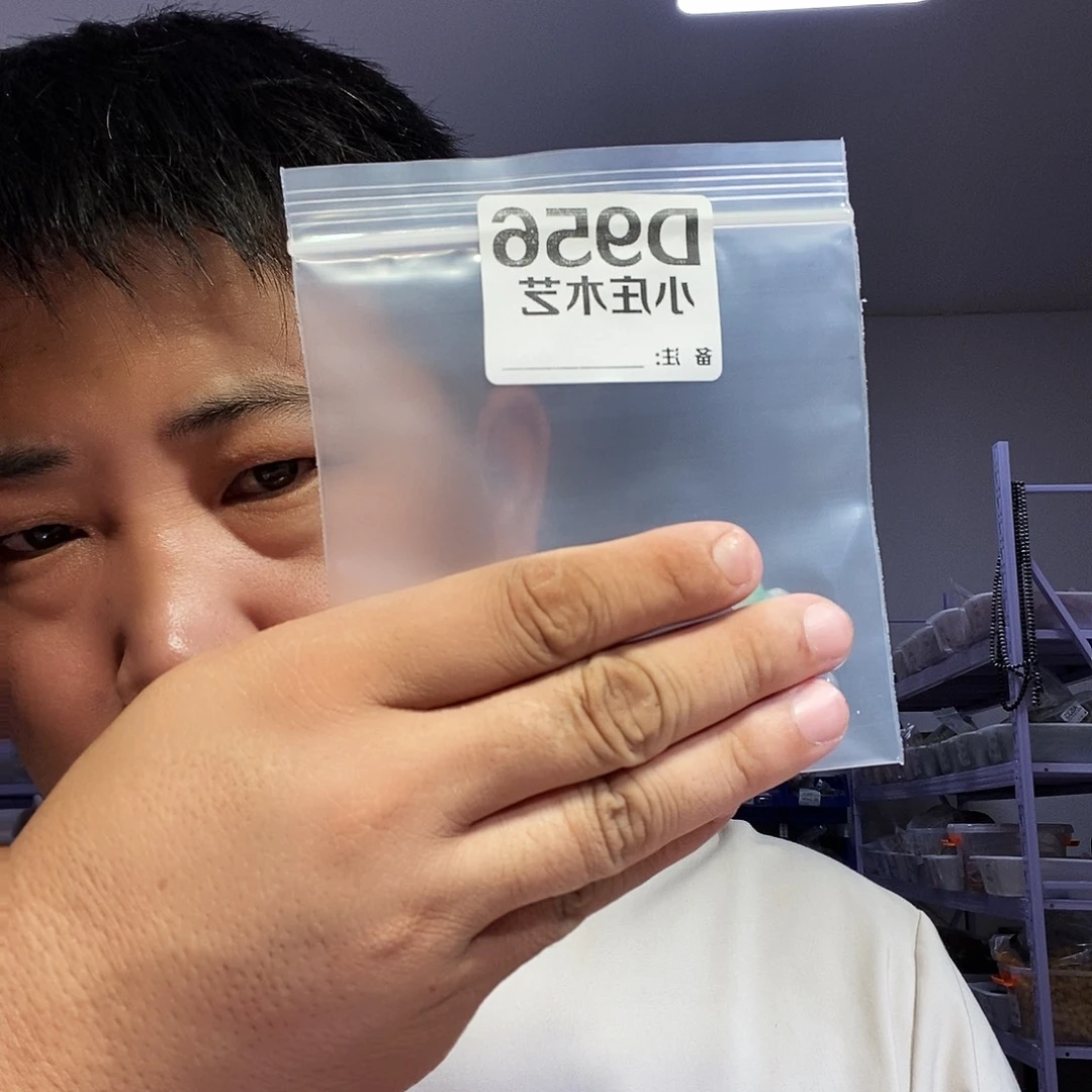 【闪购商品】黑檀木956