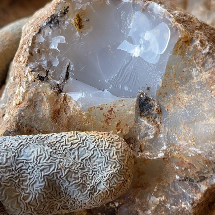 F***Z定制玛瑙玛瑙玛瑙手镯