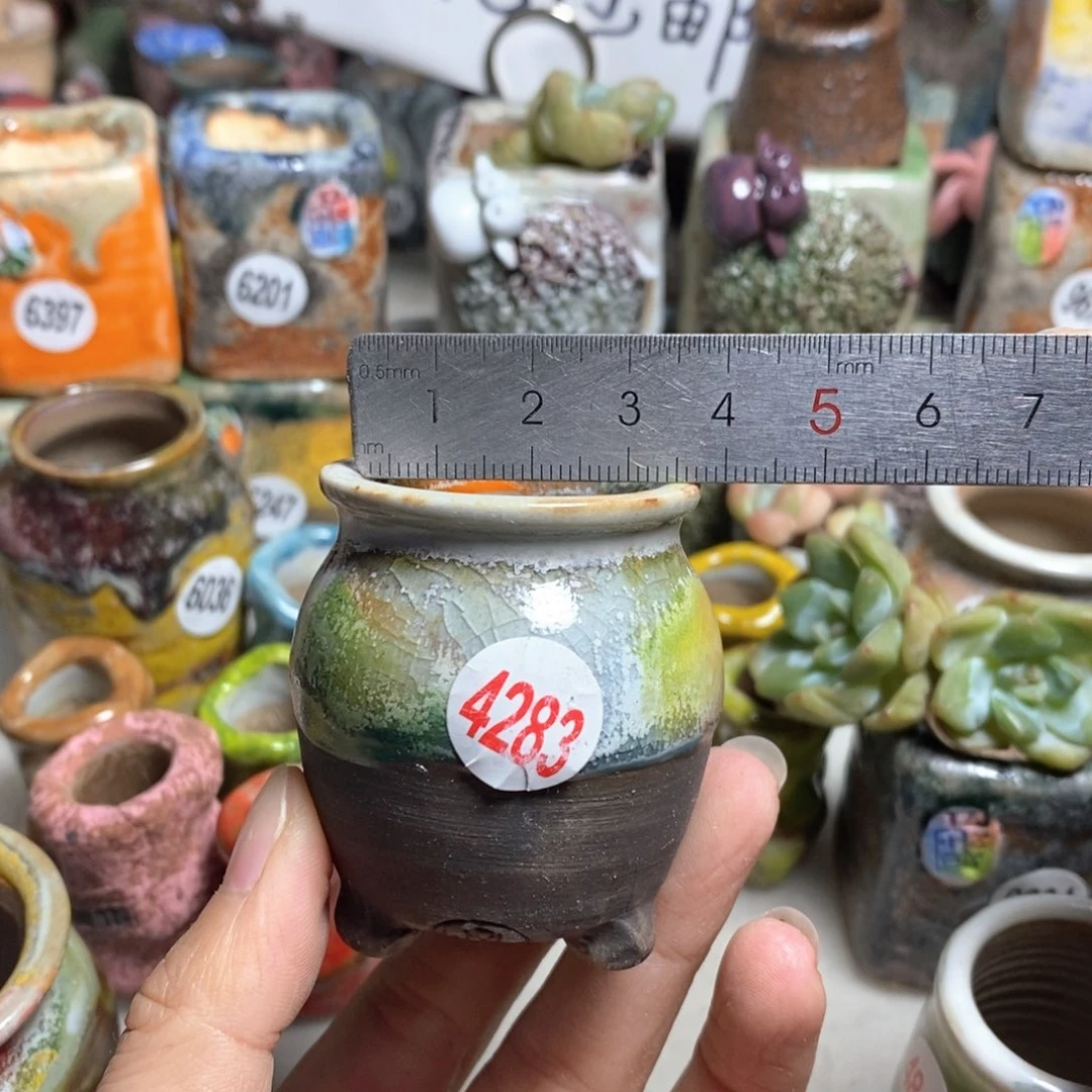 拍5送一个小礼物