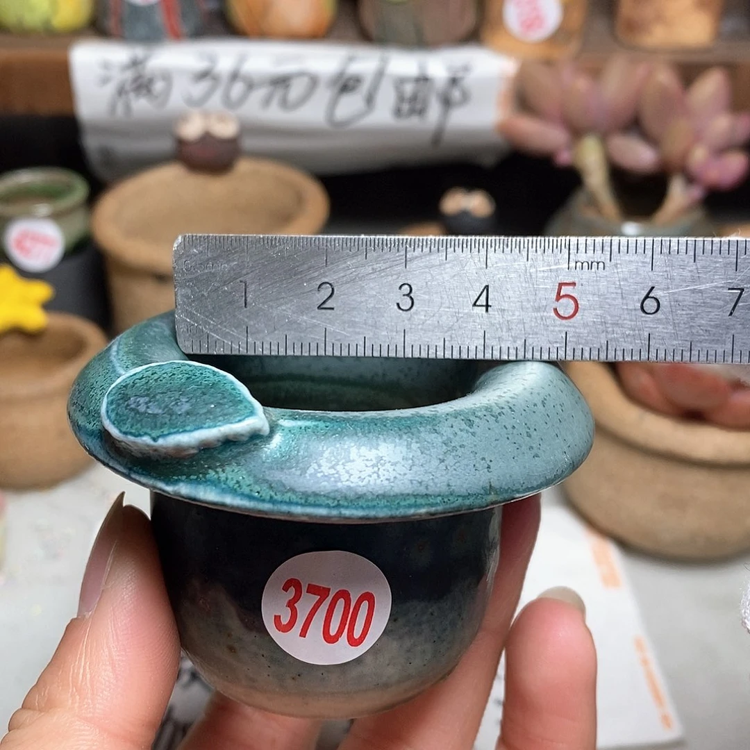 红陶拍5送一个小