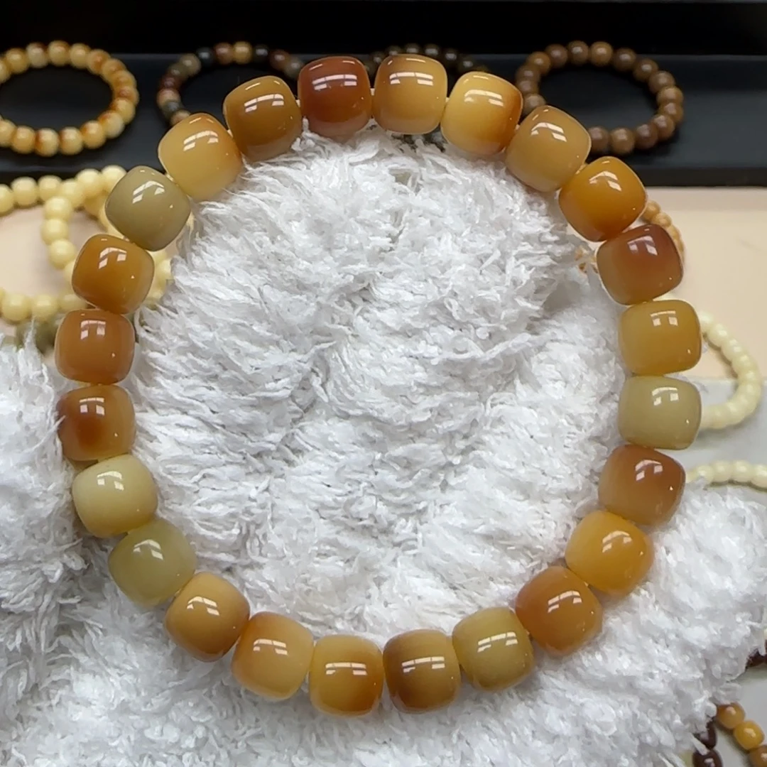 手串菩提根/象牙果9*10 花皮多宝 5年