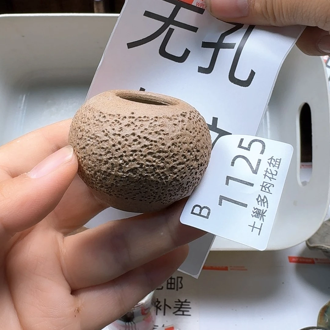 罐张*娟陶瓷艺术品制作与设计