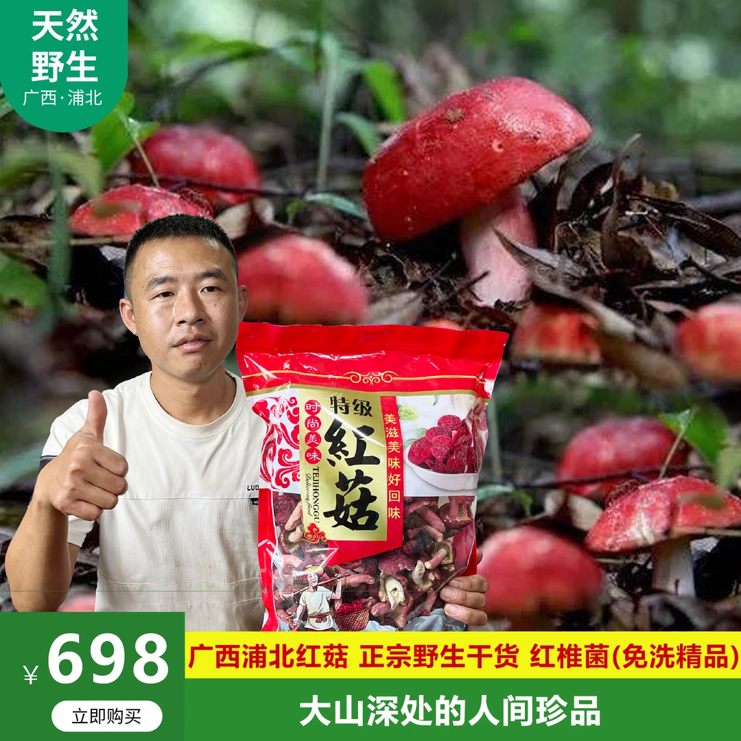 广西浦北土特产红菇正宗野生干货红椎菌红菇红菌菇干红菌免洗精品