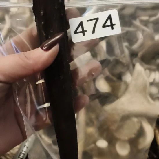 熊****鹿角鹿角鹿角鹿角鹿角鹿角