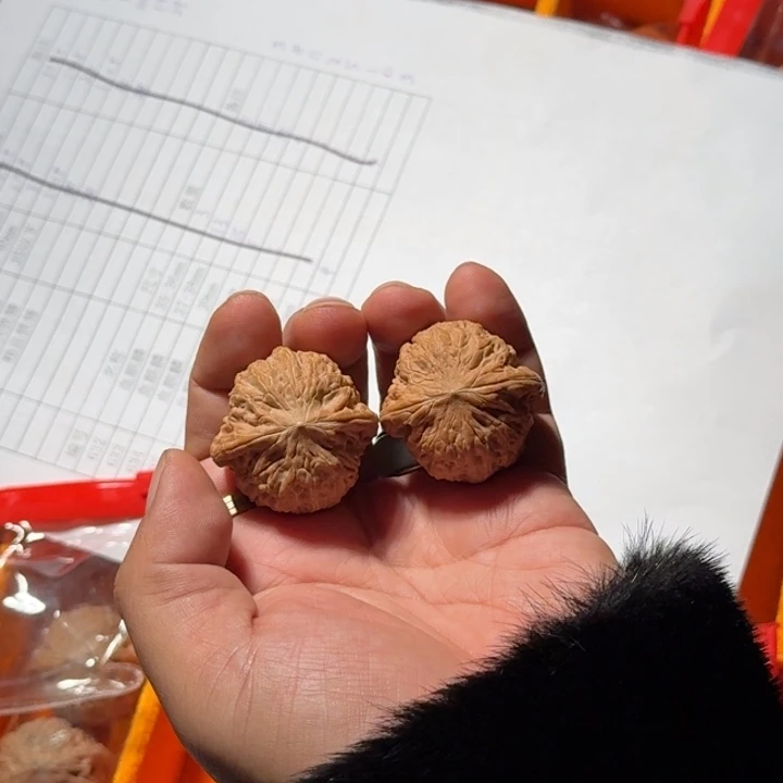 把件文玩核桃623号35-37mm全品铁锤妹妹