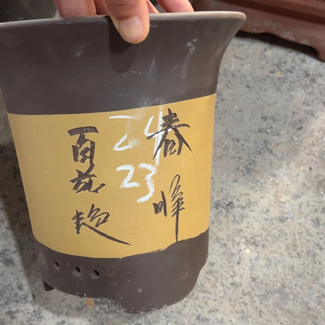 紫砂工艺厂……紫砂工艺厂