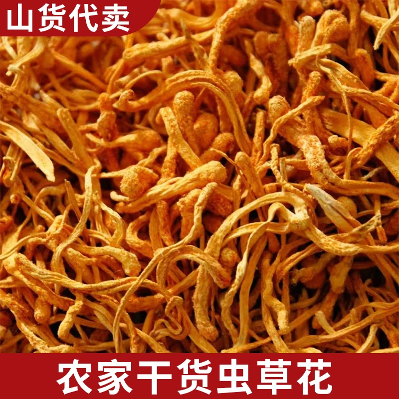 2两 虫草花 农家干货