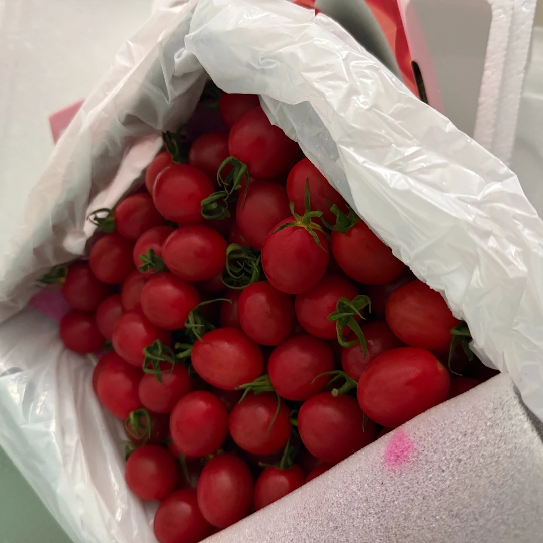 【仅限京津冀】千禧圣女果小番茄小西红柿 2斤2两 农场果园种植绿色现采现发
