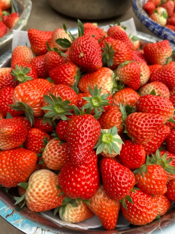 红颜草莓苗带花 30 株