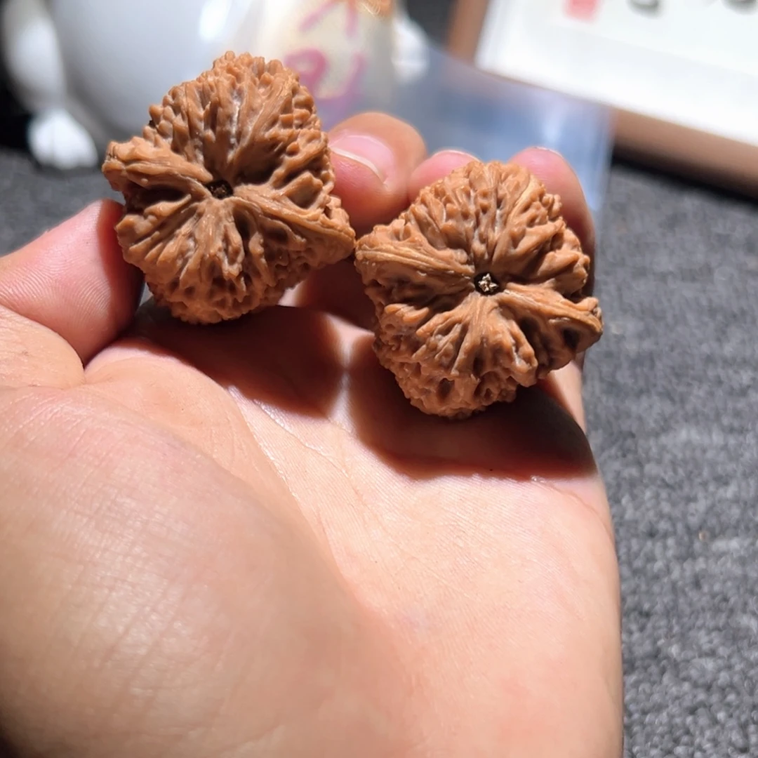 大叶紫檀（黑酸枝木类）