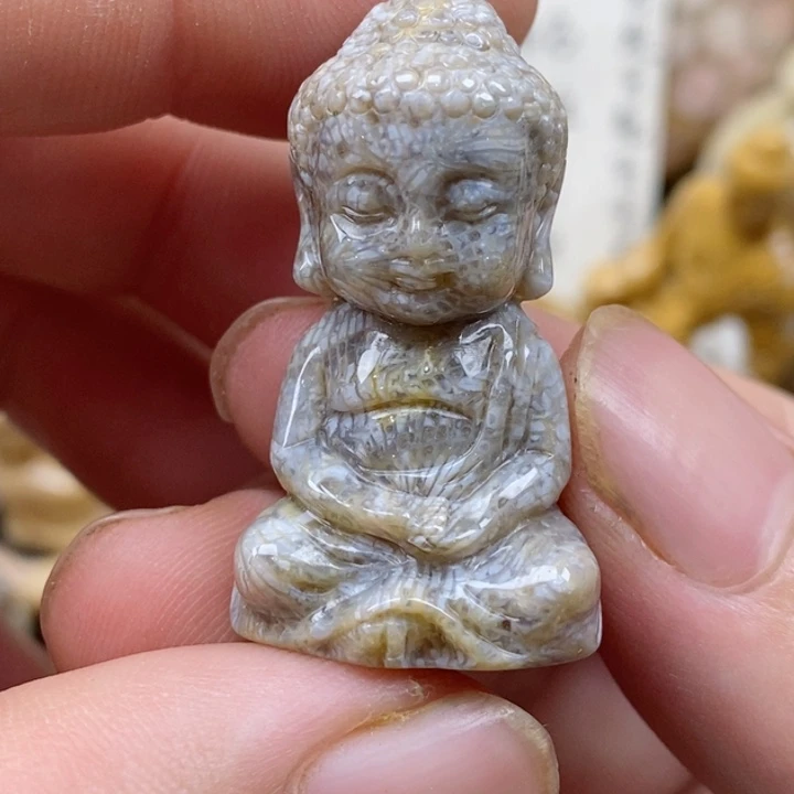 颈饰未镶嵌硅化珊瑚（珊瑚玉）
