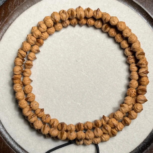 热振高油百香原桩横打红芽口刺芒108百香籽长串