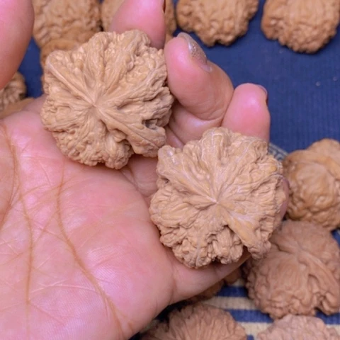 【闪购商品】文玩核桃吊坠依**你粗筋43