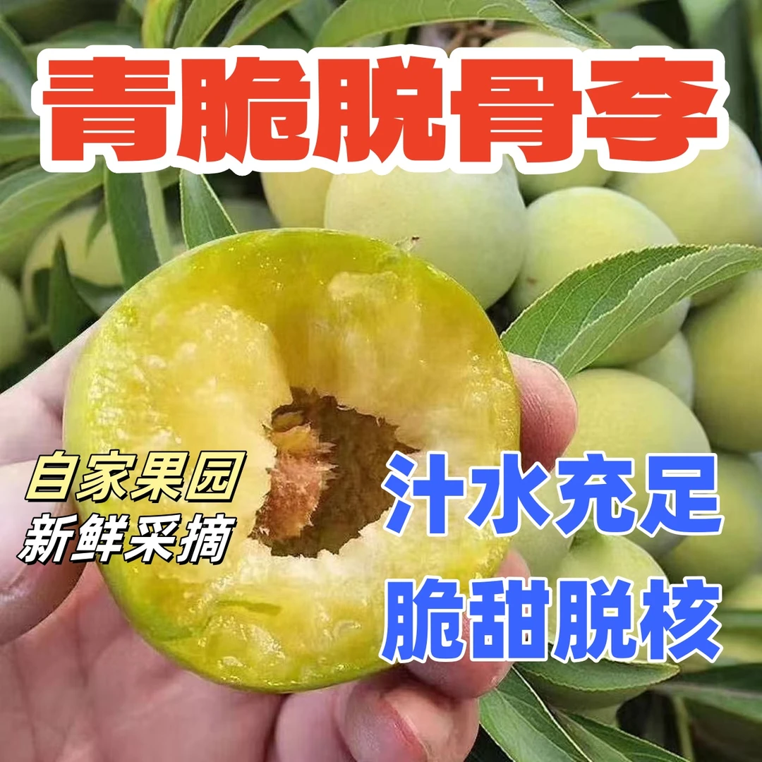 【脱骨李】正宗四川脱骨青脆李新鲜当季水果酸甜爽口多汁