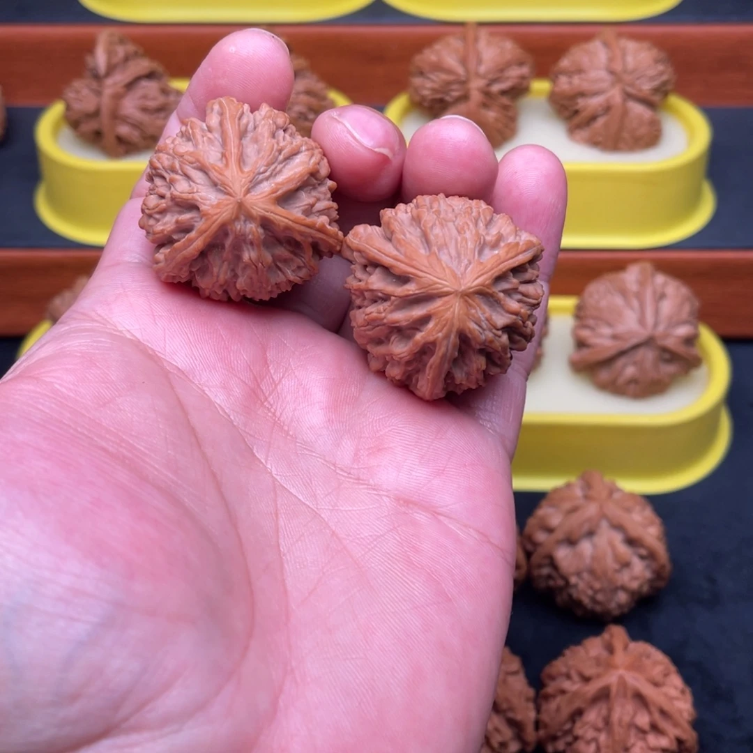 核桃手串/手链玉龙粗筋球奔38