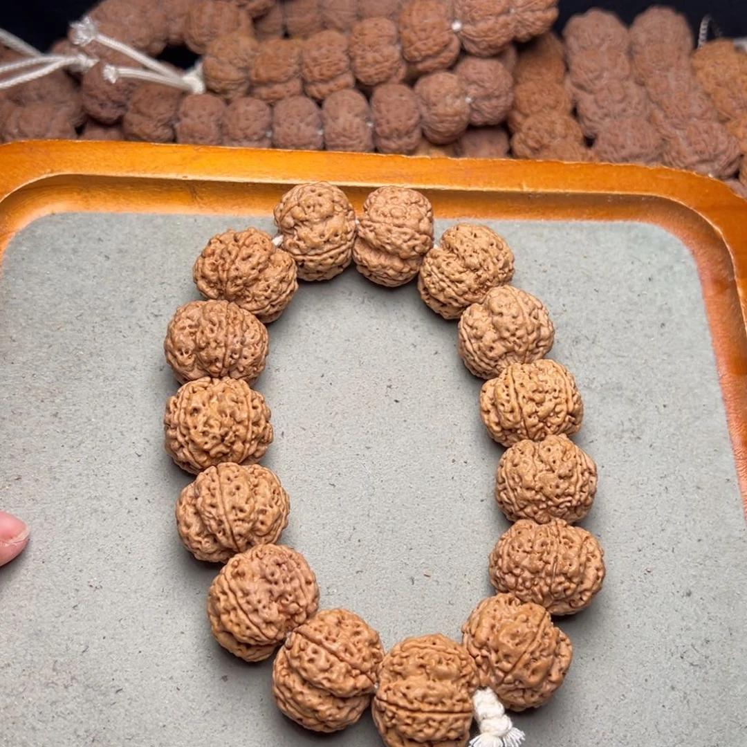 菩提23号金刚菩提梅花23+